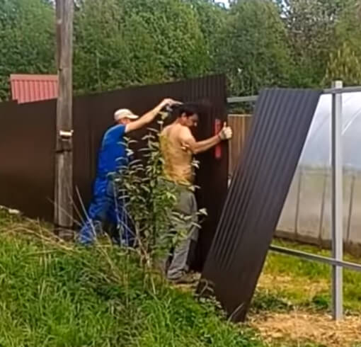 Забор из профнастила на даче фото процесса монтажа в&nbsp;Великом Новгороде